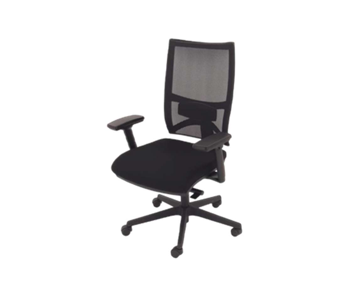 Fauteuil de bureau COLUMBIA DORSALIS PLUS de SITLAND-Bluedigo
