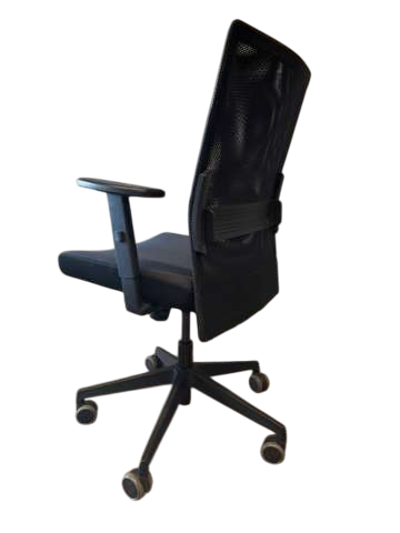 Fauteuil de bureau ergonomique-Bluedigo